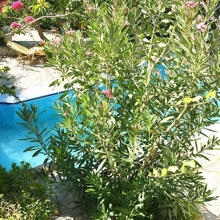 Hotel Lofos Plakias